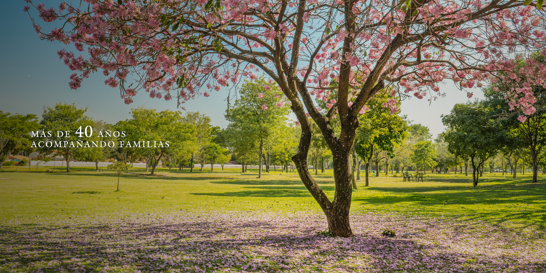 Parque Serenidad