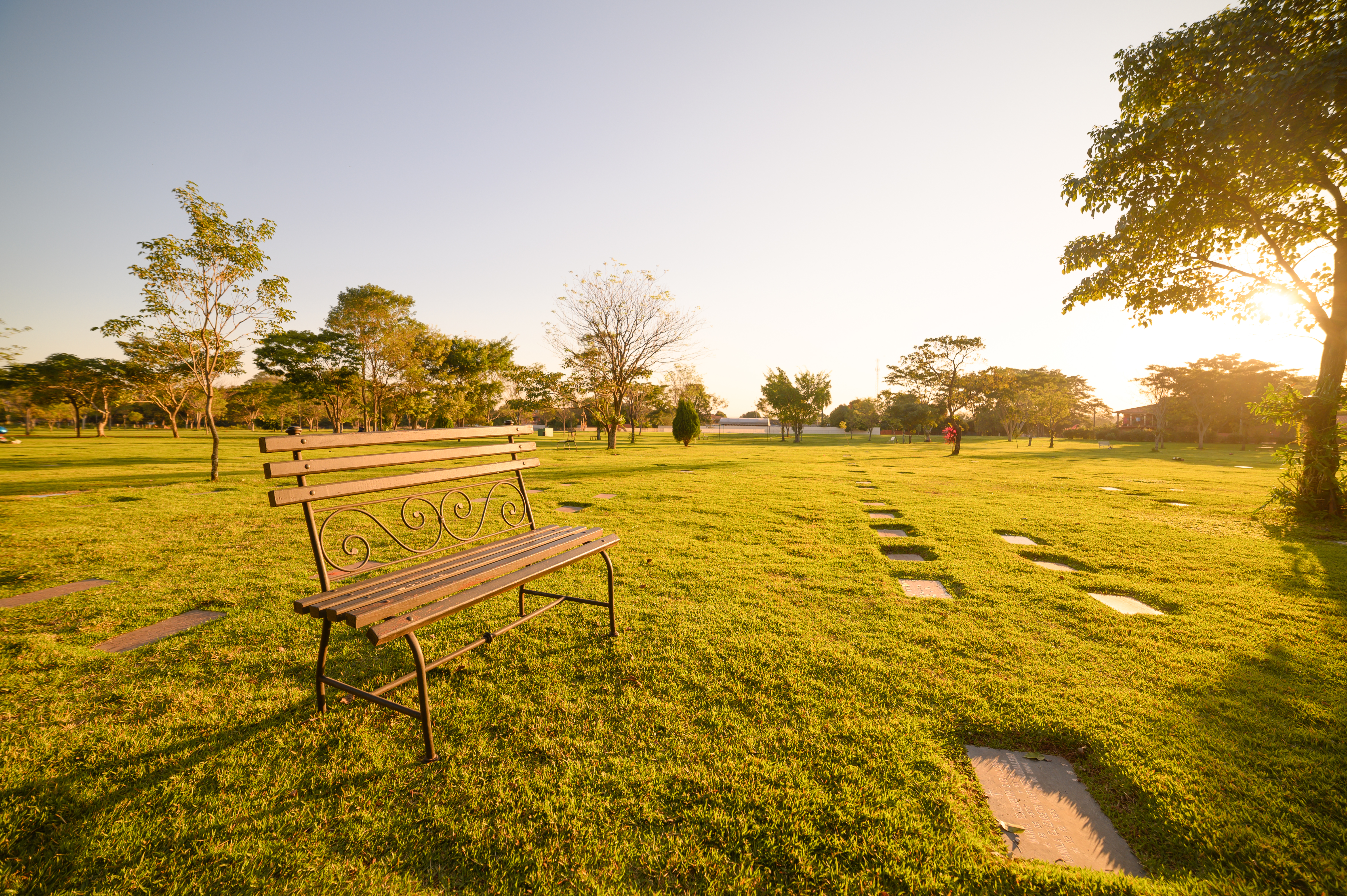 Parque Serenidad